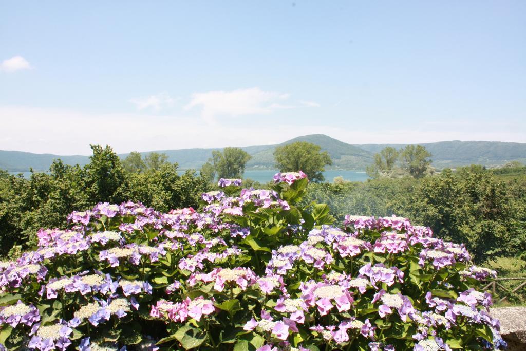 La Finestra Sul Lago Ronciglione  Exterior photo