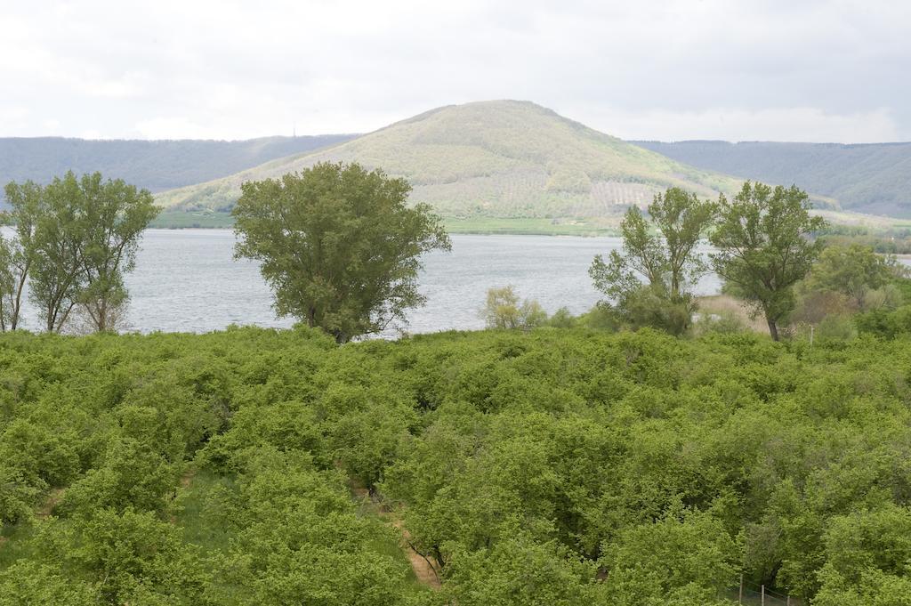 La Finestra Sul Lago Ronciglione  Room photo