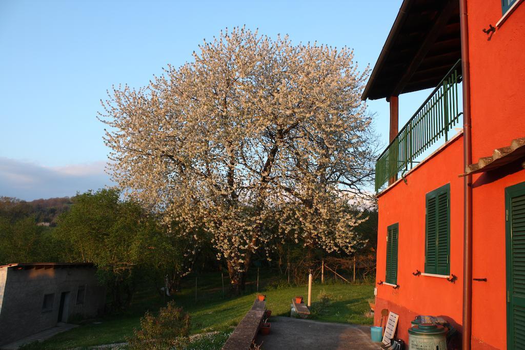 La Finestra Sul Lago Ronciglione  Exterior photo